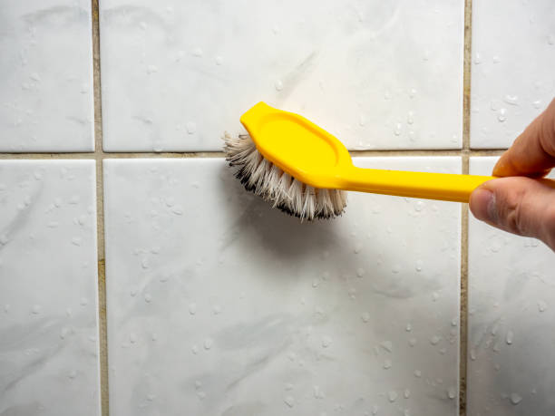 Best Attic Mold Removal  in Minier, IL