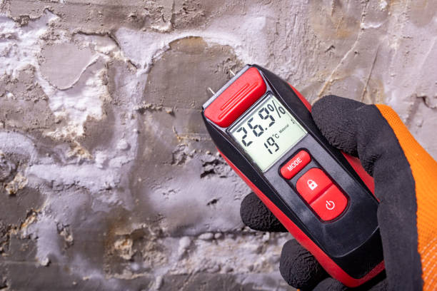 Best Water Damage Restoration  in Minier, IL